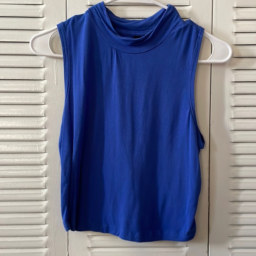 Blue turtle neck top